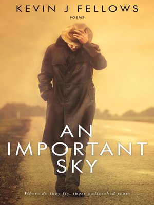 cover image of An Important Sky